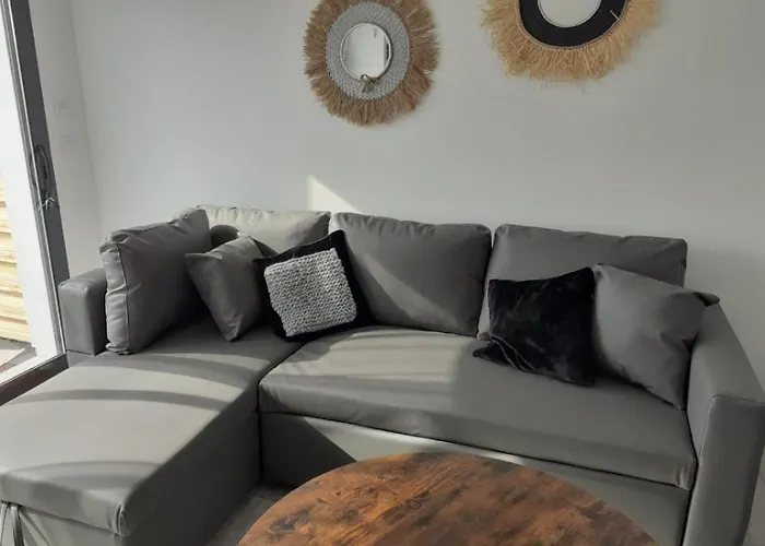 Avec Mezzanine Appartement Gujan-Mestras
